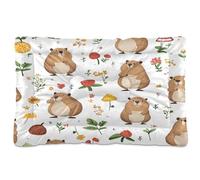 JiangGgen Washable Dog Bed,Cute Capybara Anti-Slip Dog Crate Bed Pet Beds Sleeping Mat for Large, Medium, Small Pets 24x36in