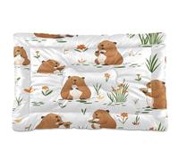 JiangGgen Washable Dog Bed,Cute Guinea Pig Anti-Slip Dog Crate Bed Pet Beds Sleeping Mat for Large, Medium, Small Pets 24x36in