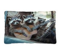 JiangGgen Washable Dog Bed,Funny Raccoon Anti-Slip Dog Crate Bed Pet Beds Sleeping Mat for Large, Medium, Small Pets 24x36in