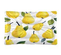 JiangGgen Washable Dog Bed,Pears Anti-Slip Dog Crate Bed Pet Beds Sleeping Mat for Large, Medium, Small Pets 24x36in