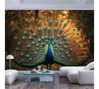 JIAOQSS Art Photo Wallpaper 3D Mural Peacock Colorful Fanned Out Feathers Peacock Colorful Fanned Out feathersPeel and Stick Wall Paper Home Decor Non-Woven 3D Living Room The Wall for Bedroom Border