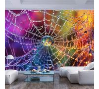 JIAOQSS Mural Wallpaper Photo Poster Colorful dewdrops on Spider Web Colorful dewdrops on Spider web3D Effect Living Room Office Bedroom Bedroom Children's Room Dining Room Corridor Wall Posters