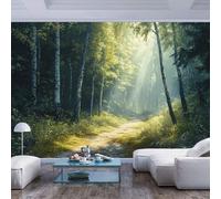 JIAOQSS Wall Mural 3D Print Wallpaper Photo Sunlit Forest Path Natural Style Sunlit Forest Path Natural stylePeel and Stick Wall Paper Home Decor Non-Woven 3D Living Room The Wall for Bedroom Border