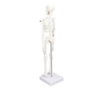 Jiawu 45CM Mini Skeleton Model PVC Human Body Bone Structure with Movable Arms, Legs and Stand, Lifelike Anatomical Skeleton for Students, Chiropractors, Physical Therapists