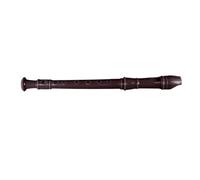 Jiawu Blue Soprano Recorder 8 Hole Descant Recorder ABS Instrument for Kids, Easy to Learn with Fingering Guide, Cleaning Rod Included - Lightweight and Versatile for Performance (Brown)