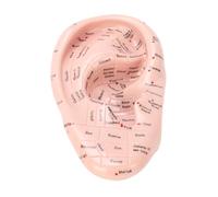 Jiawu Ear Acupuncture Point Model, 17cm Precision Acupoint Markings Ear Zone Massage Model, Acupuncture Points with Instruction Manual for Teaching Reflexology in Beauty