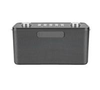 Jiawu Portable Bluetooth Karaoke Machine Lightweight Aluminum Speaker with Remote for Camping Trips and Home Use