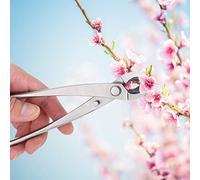 Jiawu Stainless Steel Branch Cutter for Bonsai, Ergonomic Garden Pruning Shears, Durable Scissors for Small Branches, Trees and Plants - Indoor Outdoor Use, Concave Cutting Blade