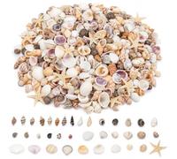JIAXULER 1000 PCS Sea Shells, 20 Kinds of Tiny Starfish and Natural Seashells for Crafting Bulk Beach Theme Party Decor Wedding and Candle Making DIY Accessories for Fish Tank