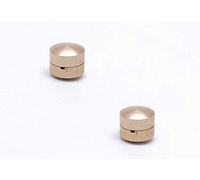Jiayouy Set of 2 Brass Violin Wolf Tone Eliminator Mute Suppressor for Violin Wolf Tone Mute Accessories