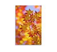JIDUHON Autumn Poster Colorful Maple Twig.jpg Poster Modern Wall Art Canvas Aesthetic Decoration Painting 08x12inch(20x30cm) Unframe-style