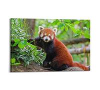 JIDUHON Red Panda Reaching For Bamboo Leaves Poster Modern Wall Art Canvas Aesthetic Decoration Painting 20x30inch(50x75cm) Frame-style
