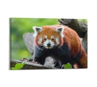 JIDUHON Red Panda Standing Firm On Rotten Stump Poster Modern Wall Art Canvas Aesthetic Decoration Painting 12x18inch(30x45cm) Frame-style