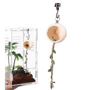 JIEBWCHA The Jumping Spider Housing, Magnetic Realistic Cave | Jumping Spider Terrarium Accessories | For Scorpions Small Animals Home Indoor