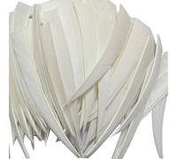JIEXI HWYP Archery Fletches 5" turkey Feather Fletching Shield Shape Pack of 100 (white, right wing)