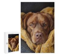Jigsaw 1000 PCS for Adults Cozy Brown Labrador Retriever Portrait Jigsaw Puzzle Brain Teaser Game Difficult Hard Deal As Gifts for The Whole Family 1000 PCS