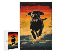 Jigsaw 1000 PCS for Teenagerss Black Lab Running Sunset Jigsaw for Adults Toy Wall Decor Presents for Women Unique Gifts for Birthday And Christmas 1000 PCS