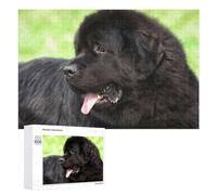 Jigsaw 1000 PCS for Teenagerss Newfoundland Dog Portrait Puzzle for Adults Anti-Stress Toys Difficult Hard for Is Ideal As A Gift 1000 PCS