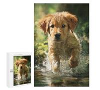 Jigsaw 1000 PCS Golden Retriever Pup Running Through Water Puzzle For Teenagers Enhance Memory Train Your Brain And Hands Addictive Toys to Cultivate Patience 1000 PCS