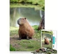 Jigsaw 1000 Piece Capybara by The Water Flawless Fit Art Mind Challenge Toy Downtime Game Fun Birthday Fun Gift (38x26cm)