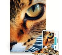 Jigsaw 1000 Piece Cat Eye Close Up Flawless Fit Art Mind Challenge Toy Downtime Game Fun Birthday Fun Gift (50x75cm)