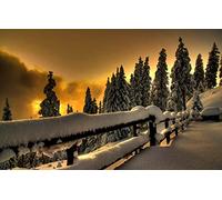 jigsaw 1000 piece,natural beauty,snow,spruce,snowy 70x50CM