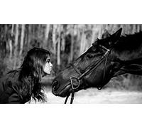 Jigsaw 1000 Piece - Paper Puzzle, B, 1000 - Classic Puzzles for Adults - Educational and Fun Toys for Kids 26x38cm