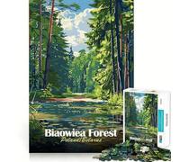 Jigsaw 1000 Pieces Bialowieza Forest Poland Belarus Accurate Cut Art Creative Brain Play Easy Play Game Xmas Art Display (50x75cm)
