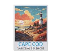 jigsaw 1000 pieces,Cape Cod National Seashore,DIY Art for Grown Ups Adults(38x26cm)-DO12