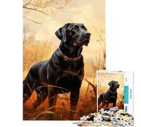 Jigsaw 1000 Pieces for Adults Autumn Labrador Puzzle For Teenagers Staycation Kill Time Help The Brain Exercise for Is Ideal As A Gifts (38x26cm)