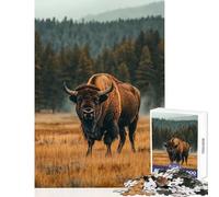 Jigsaw 1000 Pieces for Adults Bison in Yellowstone National Park Puzzle For Teenagers Staycation Kill Time Help The Brain Exercise for Is Ideal As A Gifts (50x75cm)
