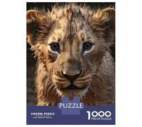 Jigsaw 1000 Pieces for Adults Cute Wet Lion Adult Jigsaw Brain Teaser Game Staycation Kill Time Help The Brain Exercise 52x38cm/1000pcs