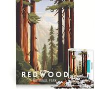Jigsaw 1000 Pieces for Adults Redwood National Park, Educational Games, Home Decoration, Artists' Collection, Fine Arts 38x26cm