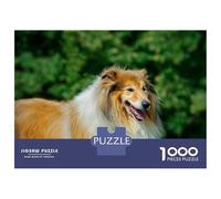 Jigsaw 1000 Pieces for Adults Rough Collie Longhaired Adult Jigsaw Brain Teaser Game Staycation Kill Time Help The Brain Exercise 38x26cm/1000pcs