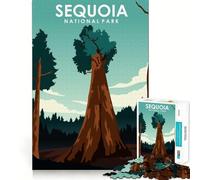 Jigsaw 1000 Pieces for Adults Sequoia National Park Neat Fit Decor Focus Building Toy Peace Game Play Birthday Decor Gift (50x75cm)