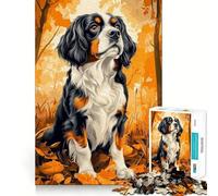 Jigsaw 1000 Pieces for Teenagers Cavalier King Charles Spaniel in Autumn Leaves Fine Joint Fun Brain Teasing Play Cozy Game Play Birthday Game Gift (38x52cm)