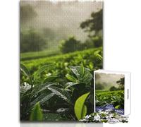 Jigsaw 1000 Pieces for Teenagers Rain on Tea Plantation Relaxing Gentle Leisure Pursuit Fine Smooth Cut Craft Toy Size 50x75cm