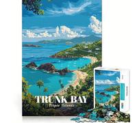 Jigsaw 1000 Pieces for Teenagers Trunk Bay, Virgin Islands Precise Edge Art Mind Training Fun Quiet Game Time Birthday Art Gift (50x75cm)
