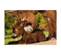 jigsaw 1000 pieces，Harmony Between a Donkey Mare and Foal，DIY Art for Grown Ups Adults（38x26cm）-AA14