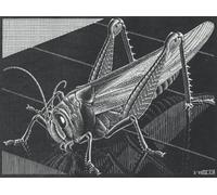 Jigsaw 1000 Pieces ，M C Eschers Art Geometrys Posters ，Educational Toys Puzzle For Adults ，Elderly Memory Cognition Games - Zp168Aw