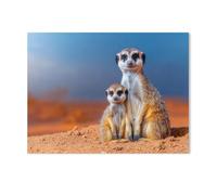 jigsaw 1000 pieces，Mole，DIY Art for Grown Ups Adults（75x50cm）-Y2