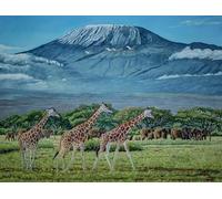 Jigsaw 1000 Pieces - Mounts Kilimanjaros Landscapes Posters - Educational Toys Puzzle For Adults - Elderly Memory Cognition Games - Kw07Zk