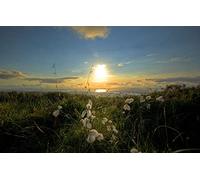 jigsaw 1000 pieces,natural beauty,sea,Irish cotton 38x26CM