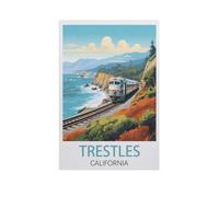 jigsaw 1000 pieces,Trestles California,DIY Art for Grown Ups Adults(50x70cm)-K37