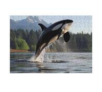 Jigsaw 1000pcs(38x26cm) for Teenagerss Majestic Orca Whale Killer Jigsaw for Adults Hands-on Game Difficult Challenge Parent-child Interaction 1000pcs(38x26cm)
