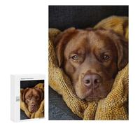 Jigsaw 300 PCS for Adults Cozy Brown Labrador Retriever Portrait Jigsaw Puzzle Brain Teaser Game Difficult Hard Deal As Gifts for The Whole Family 300 PCS