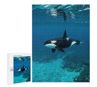 Jigsaw 500 PCS for Teenagerss Orca Underwater Jigsaw Puzzle Family Games Pattern Assembly Unique Gifts for Birthday And Christmas 500 PCS