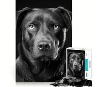 Jigsaw for Adults 1000 Pieces Bnw Cool Fine Joint Fun, Smart Mind Activity, Cozy Game Play, Christmas Calm Gift (38x52cm)