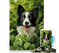 Jigsaw for Adults 1000 Pieces Border Collie in Green Fine Joint Fun, Smart Mind Activity, Cozy Game Play, Christmas Calm Gift (50x75cm)