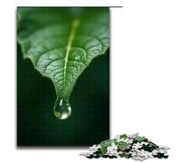 Jigsaw for Adults 1000 Pieces Crystal Clear Water Drops Falling from The Leaf Tip Wooden Puzzle for Kids Educational Game 1000 PCS(75x50cm)